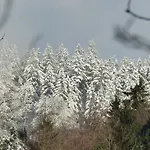Haus Wald-eck Apartmán