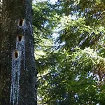 Apartmán Haus Wald-eck *
