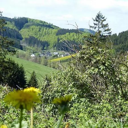 Haus Wald-eck *