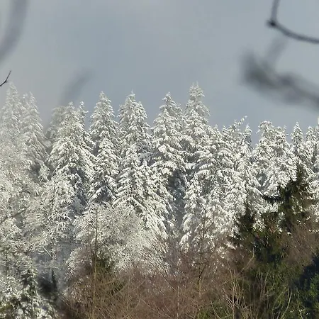 Haus Wald-eck Appartement