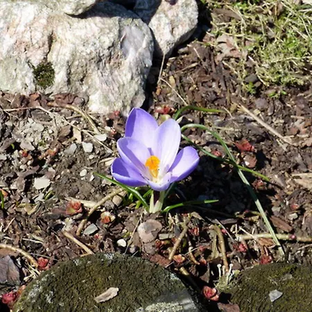 Haus Wald-eck Schmallenberg