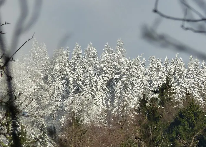 Haus Wald-eck Apartment