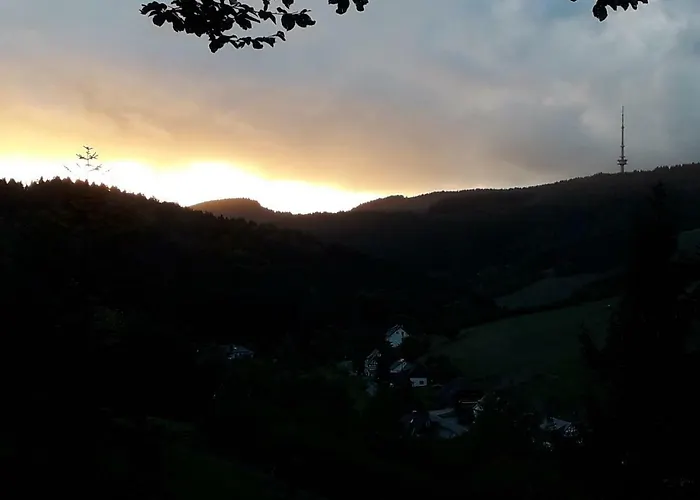 Apartment Haus Wald-eck Schmallenberg