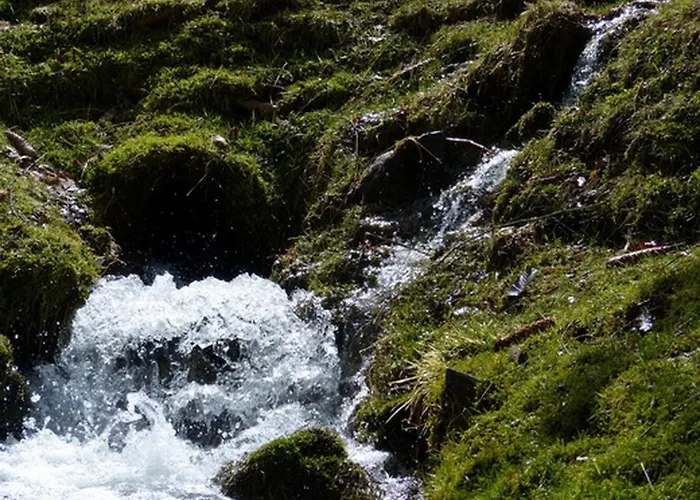 Apartment Haus Wald-eck *